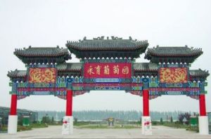 葡萄大世界觀光採摘園 葡萄大世界觀光採摘園