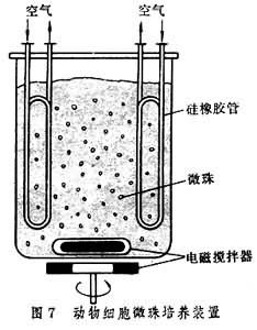 動物細胞培養反應器