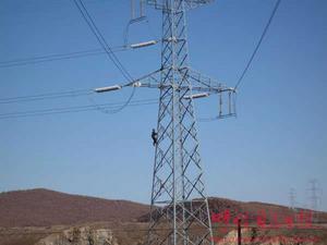 輸電線路巡視檢查 輸電線路巡視檢查