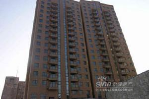 中城公園裡 中城公園裡