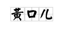 黃口兒 黃口兒