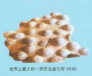 南陽恐龍蛋化石群自然保護區