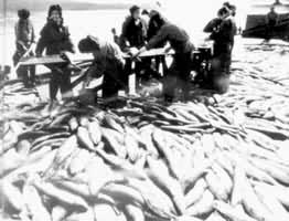 漁業經濟學
