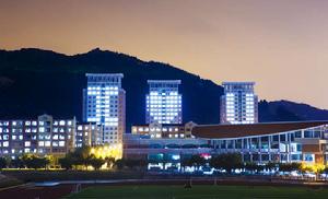 公立獨立學院 公立獨立學院