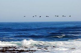 天空海闊 天空海闊