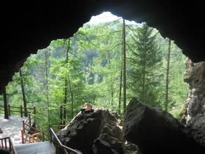 鏡泊湖森林公園 鏡泊湖森林公園