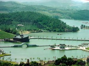 人工植被 人工植被