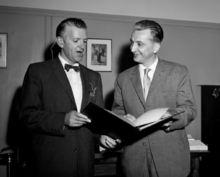 多布里沃耶&middot;維迪奇