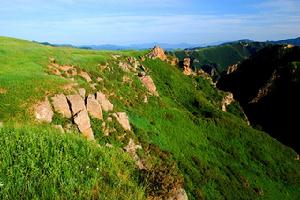 （圖）空中草園