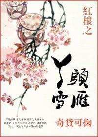 紅樓之丫頭雪雁 紅樓之丫頭雪雁