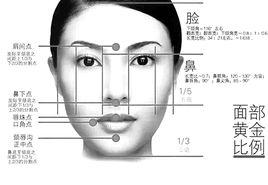 五官[面部特徵]