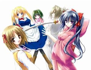 貓耳屬性 貓耳屬性