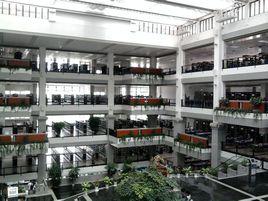 嘉庚圖書館 嘉庚圖書館