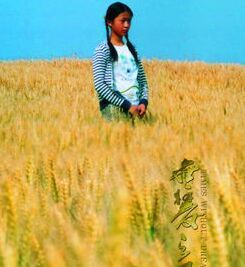 無夢之年 無夢之年