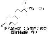 促蛋白合成類固醇 促蛋白合成類固醇