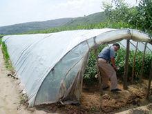 山東省臨沂市沂南縣湖頭鎮