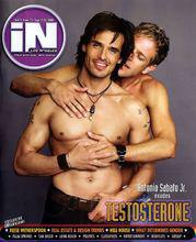 男性荷爾蒙[激素]