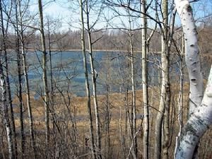 火山熔岩 火山熔岩