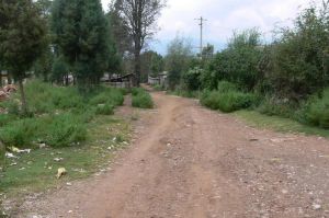 龍華新村 龍華新村