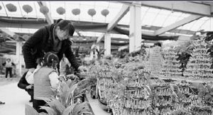 大河文化博覽園