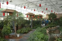 泉山維特生態園