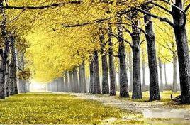 初秋[詞語釋義]