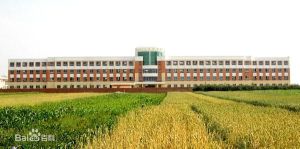 臨洮縣文峰中學