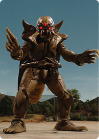 甲蟲達拉斯 甲蟲達拉斯