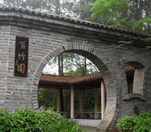 益陽百竹園 益陽百竹園