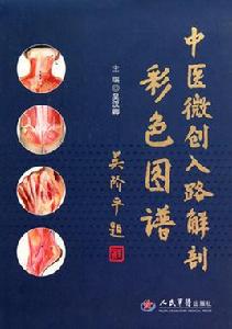 中醫微創 中醫微創