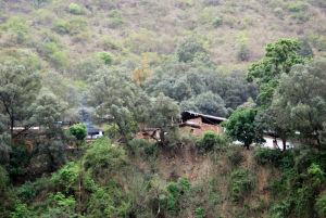 桐油棵村 桐油棵村