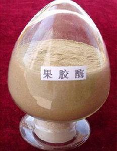 果膠裂解酶 果膠裂解酶