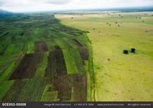 伊莉莎白國家公園 伊莉莎白國家公園