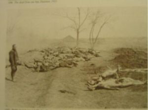 鼠疫期間的墳場