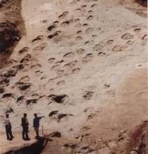 永靖恐龍足印群遺蹟 永靖恐龍足印群遺蹟