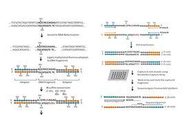 第二代DNA測序技術 第二代DNA測序技術