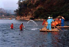勐景來傣寨 勐景來傣寨