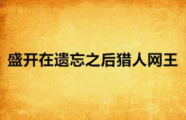 盛開在遺忘之後獵人網王 盛開在遺忘之後獵人網王