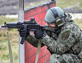 俄羅斯勇士衝鋒鎗 俄羅斯勇士衝鋒鎗