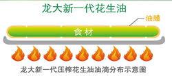 龍大新一代壓榨花生油油滴分布示意圖
