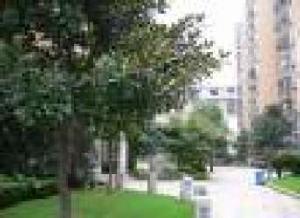 白雲新寓 白雲新寓