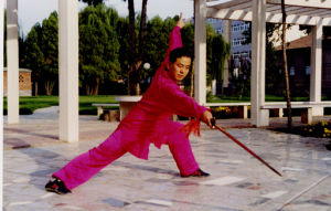 張飛鵬[中國散手道協會副主席]