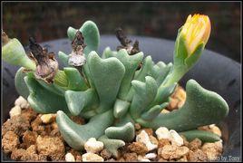 快刀亂麻 快刀亂麻