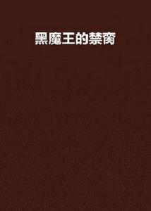 黑魔王的禁臠