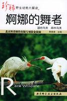 婀娜的舞者 婀娜的舞者