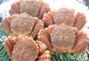 吉林-延吉柳京物產有限公司