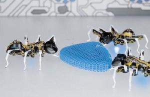 BionicANT螞蟻仿生機器人