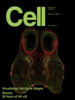 細胞周期蛋白類