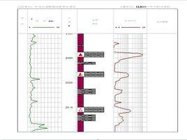 岩屑描述 岩屑描述