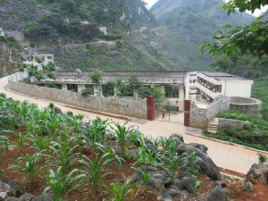 東山鄉[台灣台南市轄區]